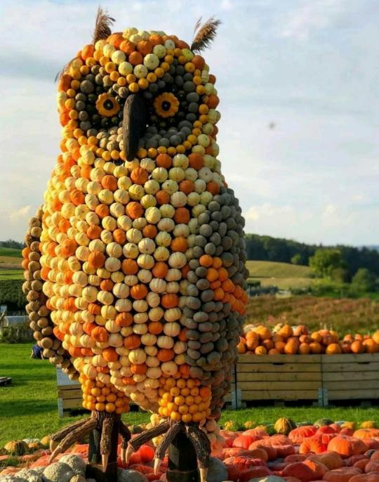 Pumpkin Owl-Stumbit Arts